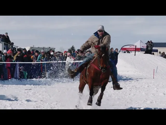 Watch Skijoring Highlight Reel on YouTube.