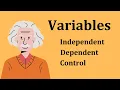 Independent Dependent and Control Variables