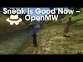 Sneak is Good Now -