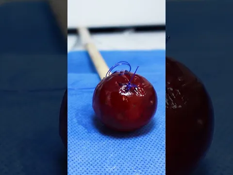 Precision Surgical Training with a Grape