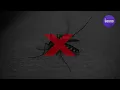 Long-range Mosquito repellent sound - 12 HOURS : Concentrated Ultrasound | Ultrasonic deterrent