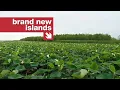 The only bit of Louisiana s coast that isn t sinking