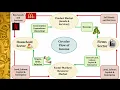 Circular Flow of Income Model