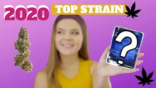 2020 Top Cannabis Strain Of The Year RUNTZ Review