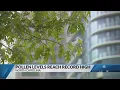 What Charlotte s record pollen levels mean for allergies