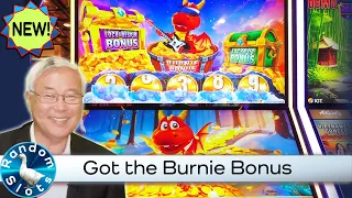 Lucky Coin Link Frost Fire Slot Machine Burnie Bonus