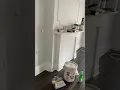 IMG 2250