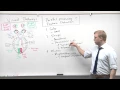 MCAT 2015 Psychology 14 - Feature Detection Parallel Processing