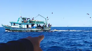 HOW is the Tuna Fishing in Panama THIS GOOD?!