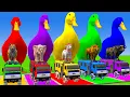Download Lagu Long Slide Game With Cow Elephant Gorilla Hippopotamus Tiger 3d Animal Game Funny 3d Animals