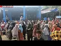 Download Lagu Joget Sekampung Ronggeng Versi TikTok||Gurindam Pantun Minang||Dodi Arfadi
