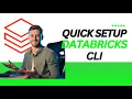 Connect Databricks CLI to your workspace