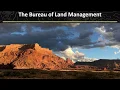 Introduction to the BLM