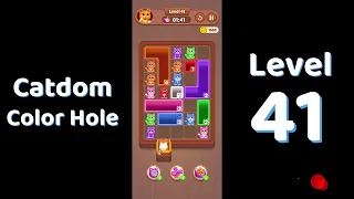 Catdom Color Hole Level 41 Screenshot