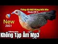 Download Lagu Tiếng Gà Mái Rừng Kêu Mồi Cực Chuẩn Không Tạp Âm Mp3 | Hoàng Thắng