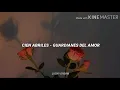 Guardianes del amor - Cien abriles // Letra