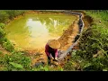Download Lagu Building a Million Dollar Farm on a Deserted Island – Build a Giant 130m Stone Wall Around the Pond