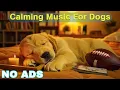 Download Lagu 12 Hours Of Dog Calming Music🐾Relaxing Music for Dog✨Separation Anxiety Relief Music🎵Gentle Melodies