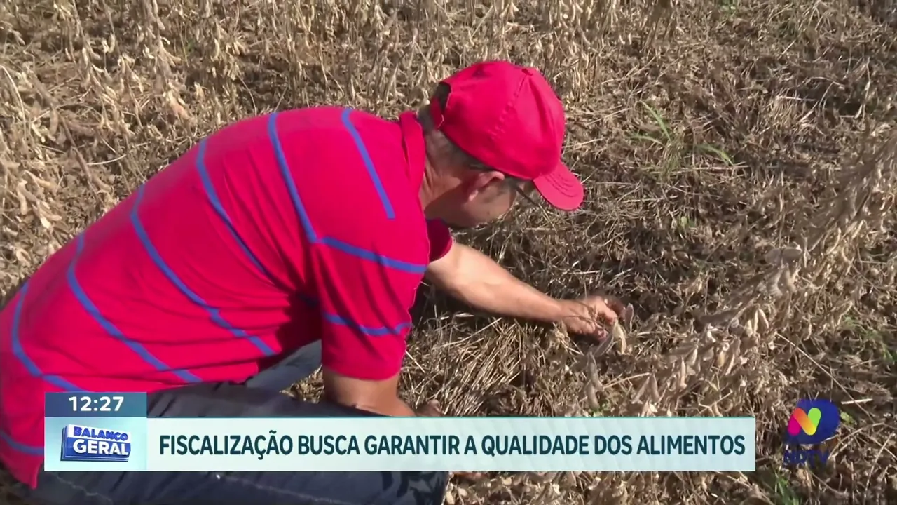 Fiscalização da CIDASC nos Cereais de Inverno: Garantindo Qualidade e Segurança Alimentar