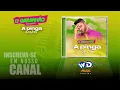 Download Lagu O GARANHÃO DO FORRÓ - A pinga acabou