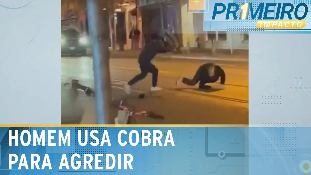 Flagrante: homem bate em outro com uma cobra píton | Primeiro Impacto (02/08/23)