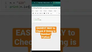 Easiest Way to Check if String is Number Python