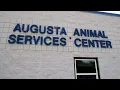 Misunderstanding led to Augusta woman s pet being removed from home