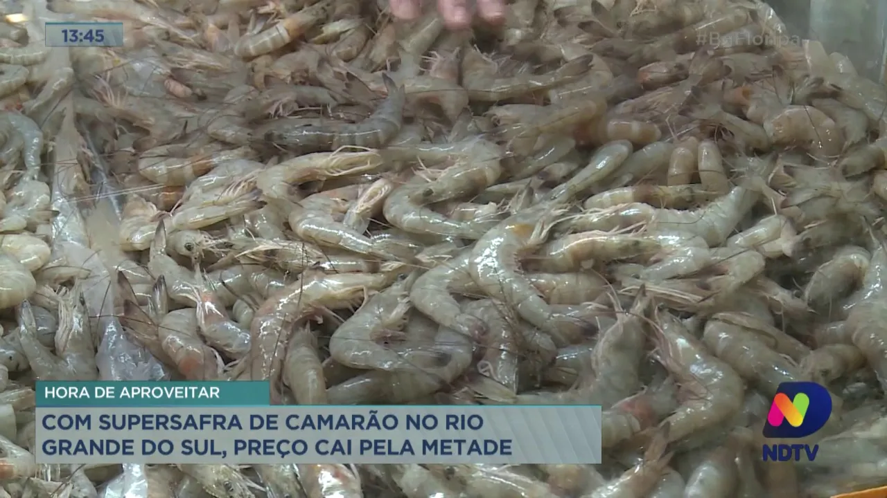 Com supersafra de camarão no Rio Grande do Sul, preço cai pela metade