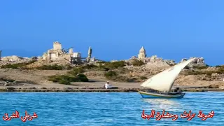 الفنان البجاوي ابراهيم شريف 