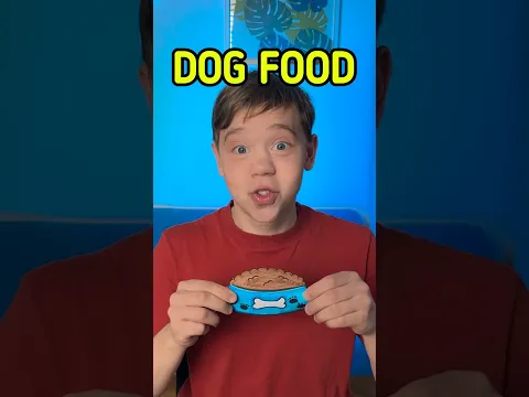 Yummy Food for Every Animal! ๐จ A Happy Feeding Adventure ๐ฝ๏ธ