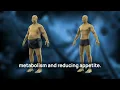 Melissa Peterman s Transformative Weight Loss Journey The Secret of Alpilean and a Healthy Lifestyl