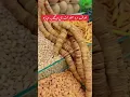 Download Lagu Mardana takat k lie #food #driedfruit #dryfruit #nutsbenefits #mardanakamzori #mardanatakat #mardana