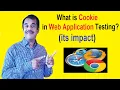 what is cookie in web application testing and its impact in software testing testingshala