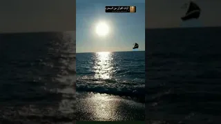 حالات واتساب للقاء الشيخ محمد صديق المنشاوي 