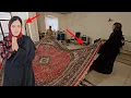Download Lagu Kobra's court battle against Ali and the search for the right carpet for the home