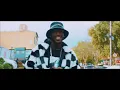 Daliwonga - Abo Mvelo (Visualizer) ft. Mellow & Sleazy and M.J