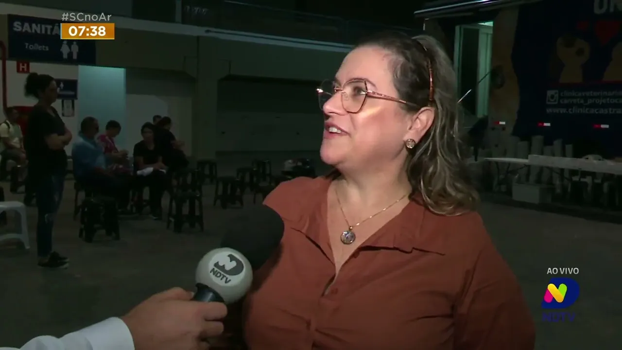 Mutirão gratuito de cães e gatos acontece nesta semana em Blumenau