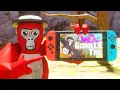 I Played Gorilla Tag on the Nintendo Switch
