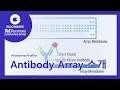 R D Systems Proteome Profiler Antibody Array