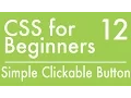 Basics Of CSS - Tutorial 12