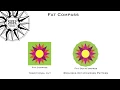 Fat Compass