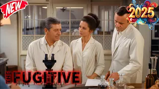 The Fugitive 1963 Season 5 Death Of A Very Small Killer Best Drama Action Thriller Crime Full HD  The Fugitive 1963 Season 5 Death Of A Very Small Killer Best Drama Action Thriller Crime Full HD