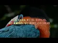 July mateo - Oye (Lyrics/Letra)