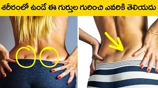 మీ శరీరం గురించి ఈ విషయాలు తెలిస్తే మీరు ఆశ్చర్యపోతారు| 30 Amazing Facts About Human Body | UF