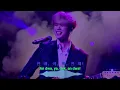 Jangan Ya Dek - Ayu Ting Ting (Korean Version) | PapaHiu (K-Pop Cover)