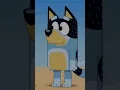 Bandit Threw You Into The Ocean