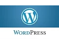 WordPress How To Replace Google Map Made By Shortcode With The API One And Vice Versa
