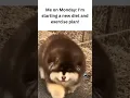 Monday Motivation vs Friday Reality
