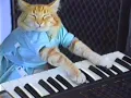 Original Keyboard Cat in HI REZ for those days Beautiful