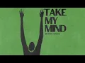 Take My Mind - WizTheMc, bees & honey (SETTOW & SENATVS Remix)